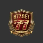 B77 Game