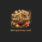 M66 Game
