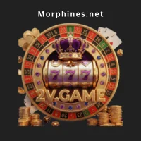 2V Game