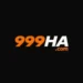 999HA Game